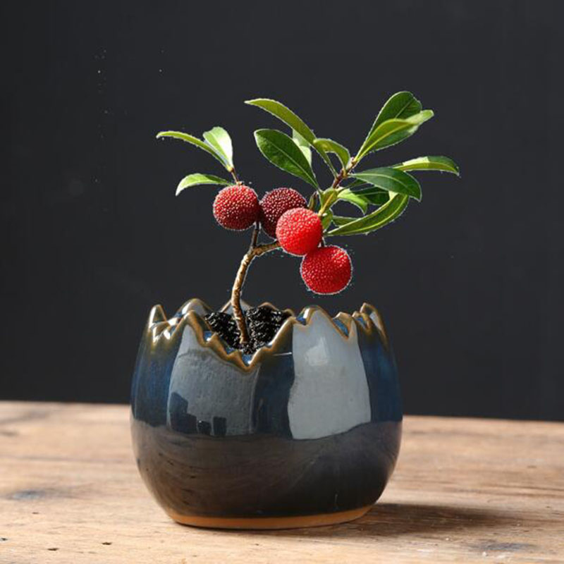 Bonsai Garden Art - Kiln Transmutatie Geglazuurde Eierschaal Bloempot Creatieve