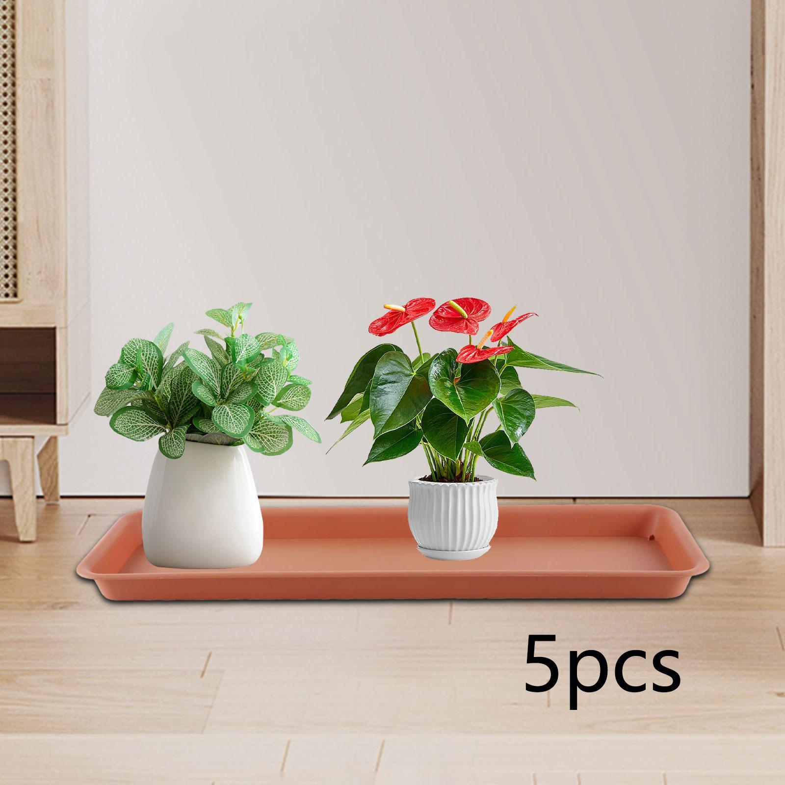 Hoge bloempot voor het terras, - Drip Tray Saucer recensie en prijs