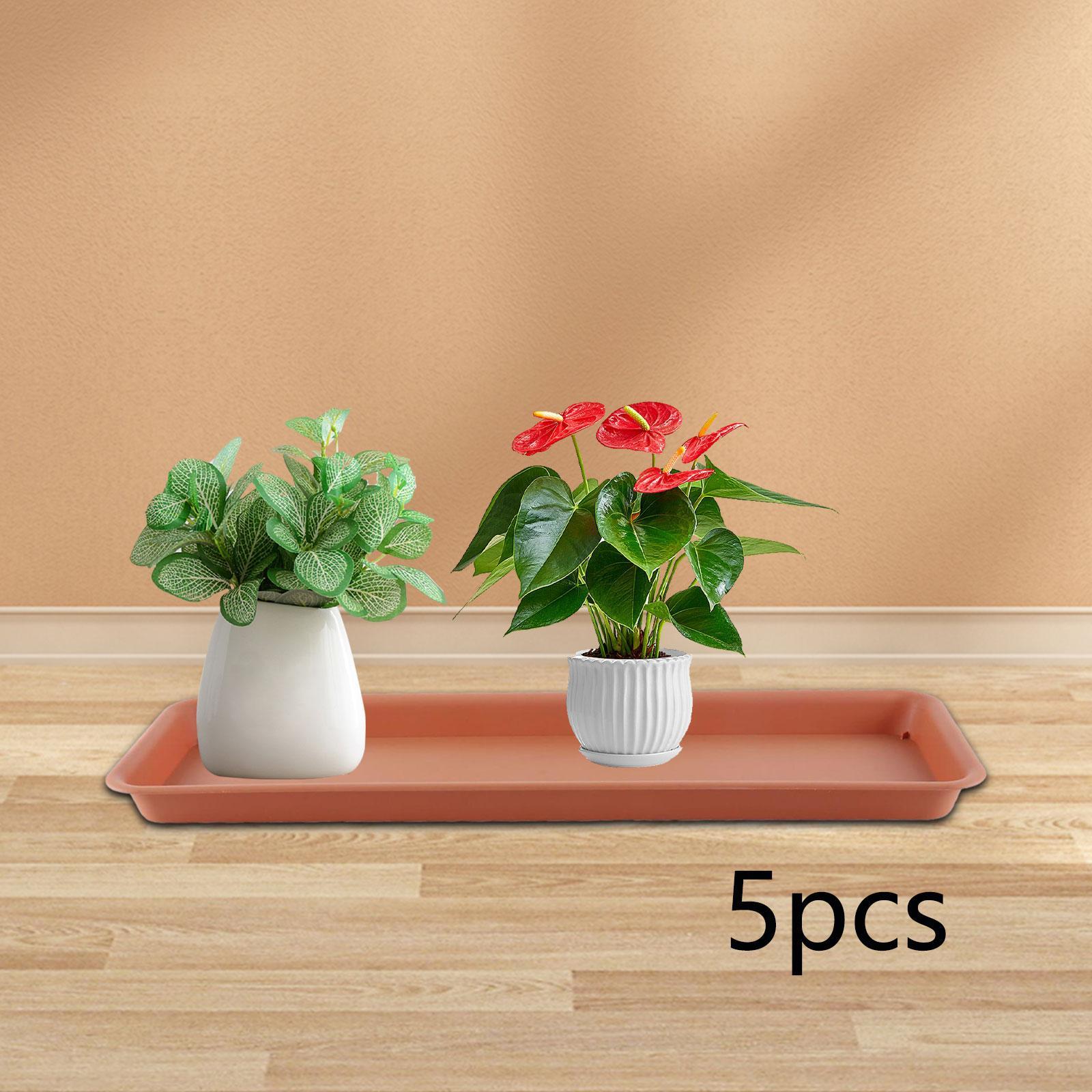 Hoge bloempot voor het terras, - Drip Tray Saucer recensie en prijs
