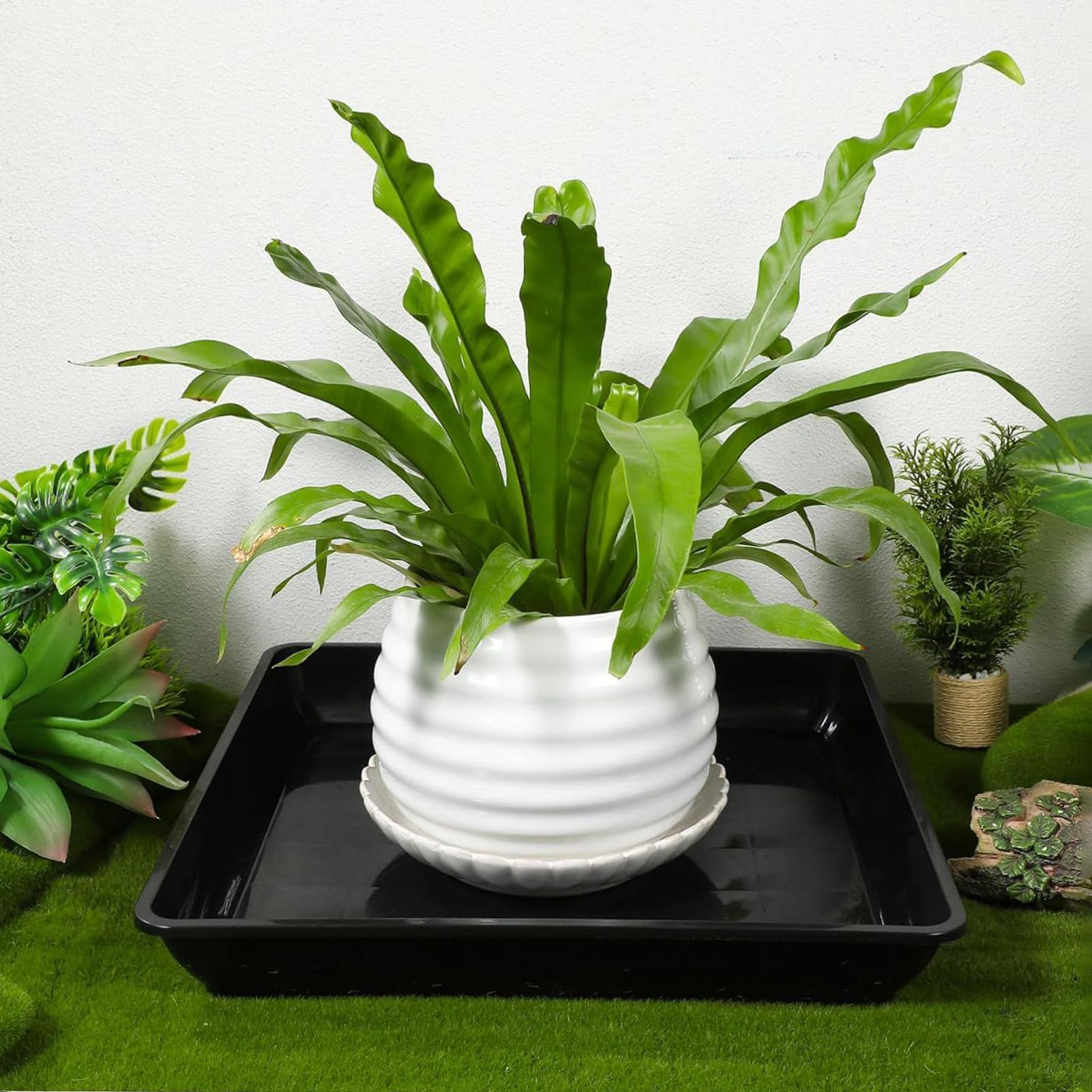 Bloempot Trays 2 stks/set Tuin - Drip Tray Saucer recensie en prijs