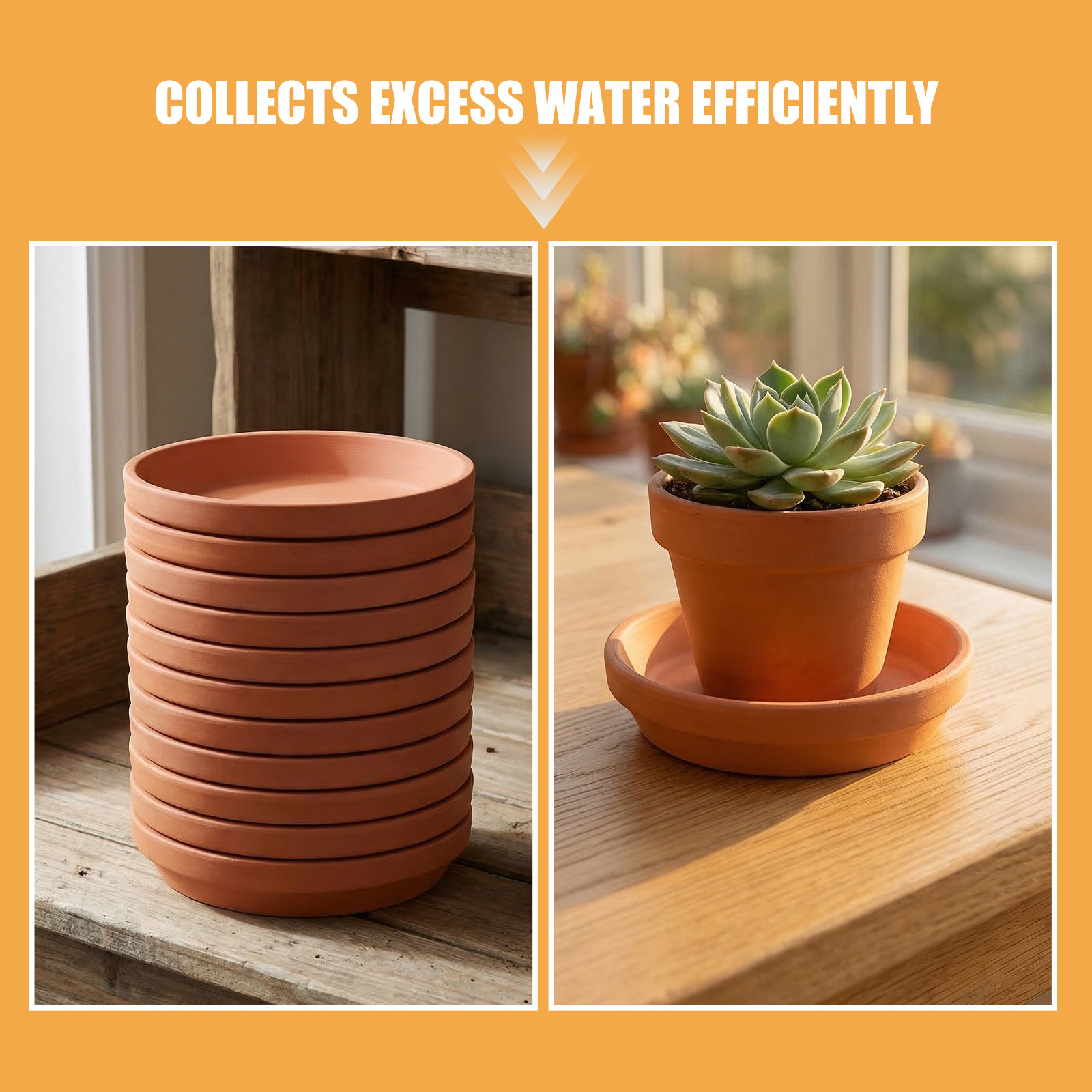 12 stuks plantenpotonderzetter - Drip Tray Saucer recensie en prijs