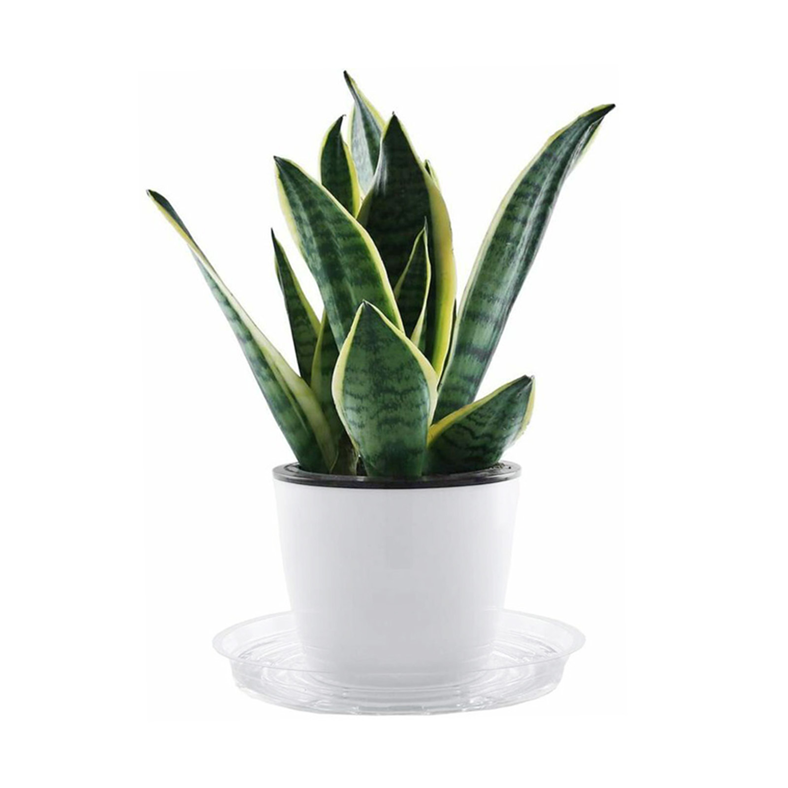 10 st Tuin Plant Schotel Lekba - Drip Tray Saucer recensie en prijs