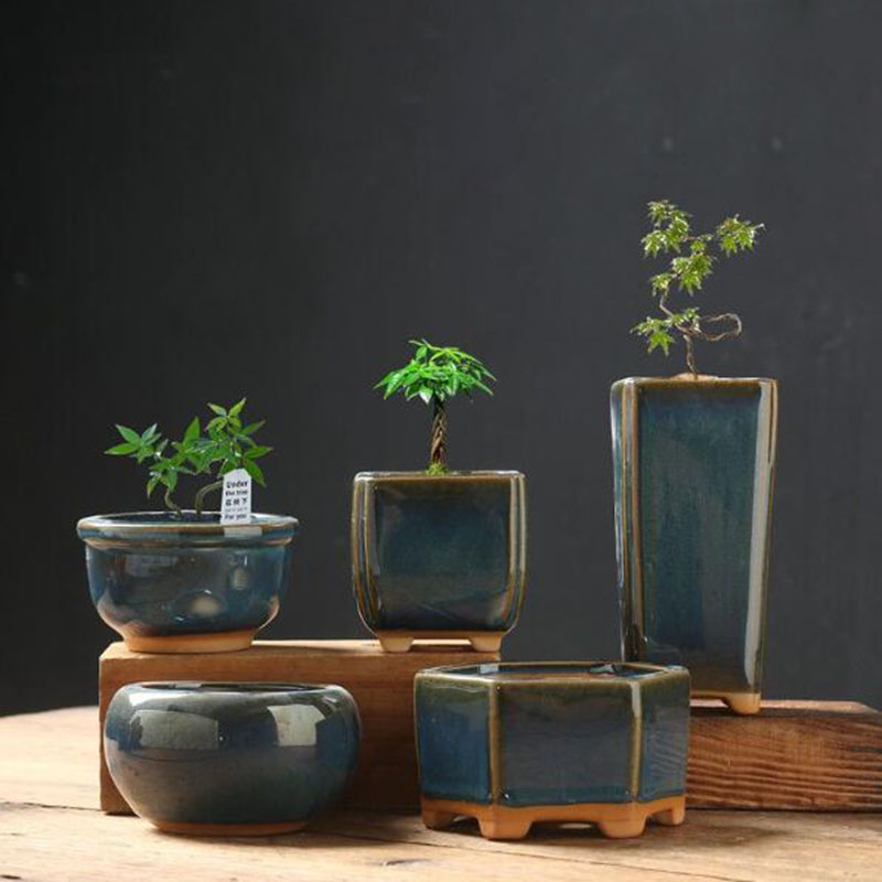 Kiln Transmutatie Geglazuurde  - Bonsai Garden Art recensie en prijs