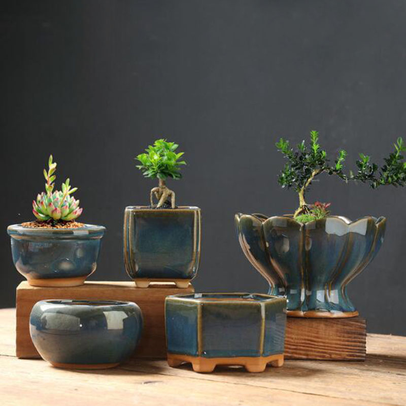Kiln Transmutatie Geglazuurde  - Bonsai Garden Art recensie en prijs